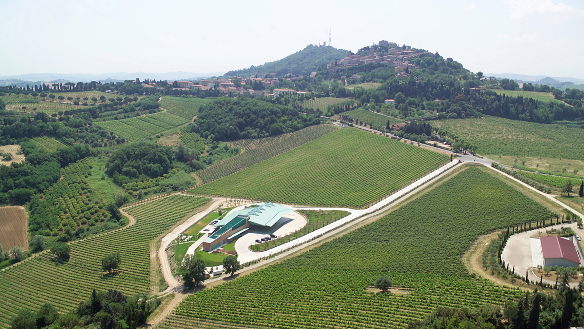 Campo del sole wijnkelder in Bertinoro: Foto 18