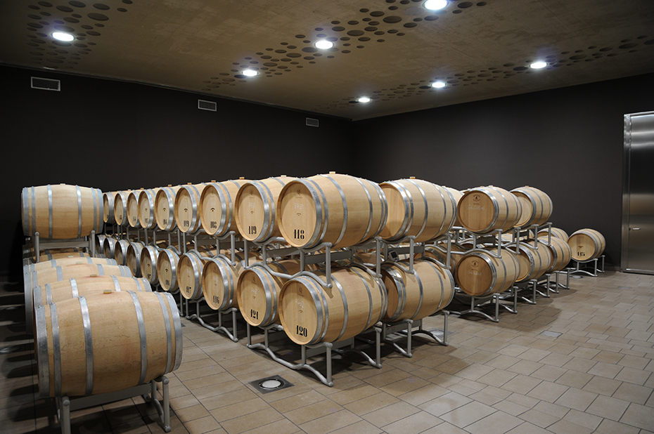 Campo del sole wijnkelder in Bertinoro: Foto 16